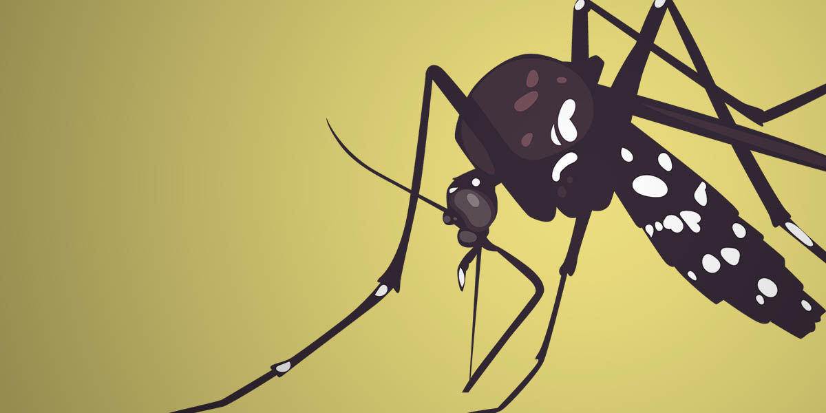 di-timika-pandemi-covid-bisa-turunkan-kasus-malaria